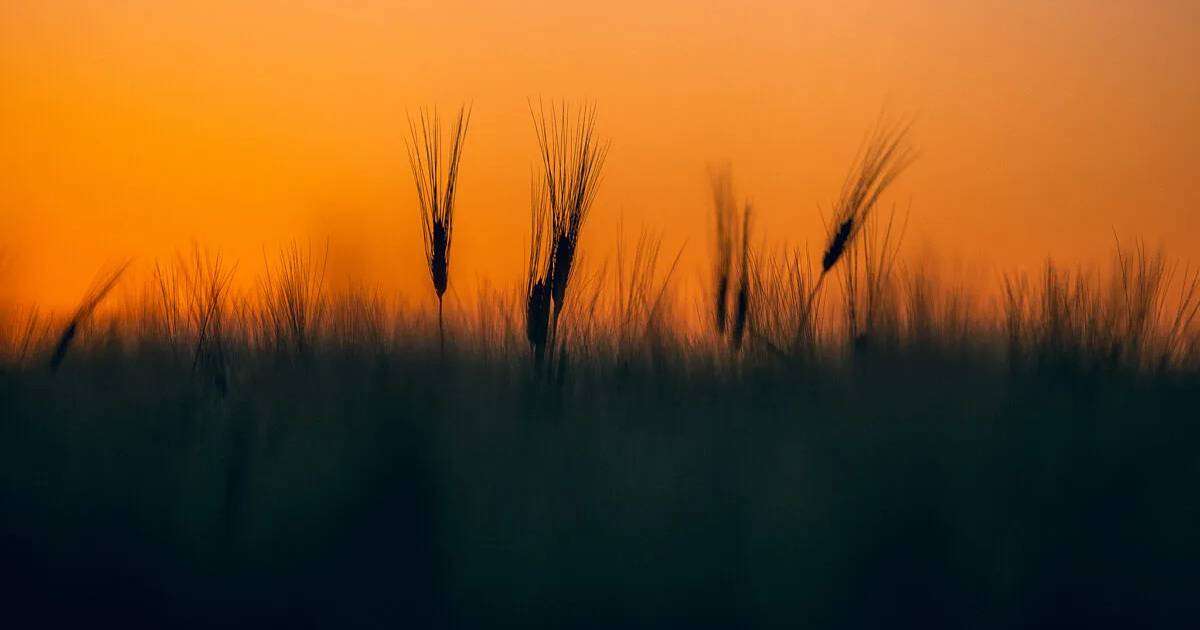 Promise worth keeping: Restoring certainty to America’s farmers