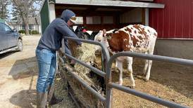 Star in Agricultural Placement finalists 