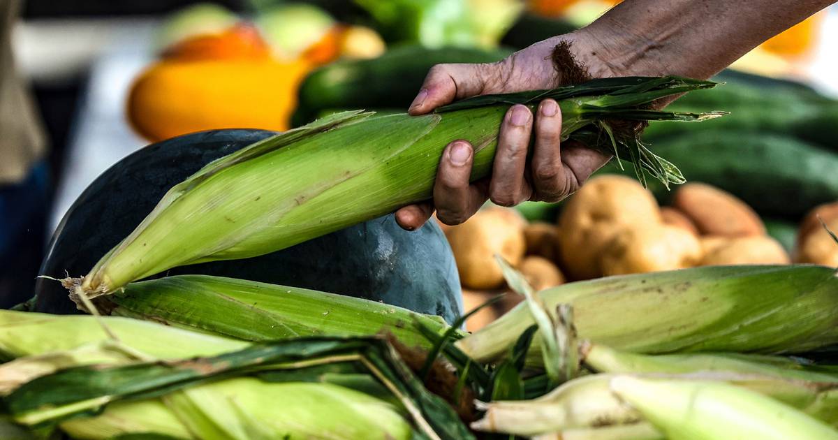 The most climate-friendly groceries might not be in the supermarket