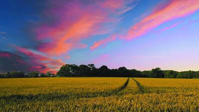 Duvall: A sustainable harvest