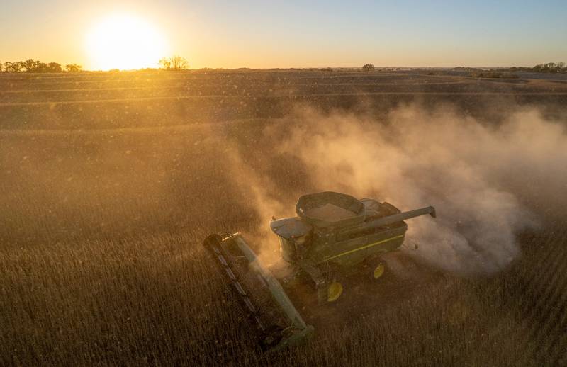 Rodney Egger harvests soybeans with a combine south of Lincoln in southeastern Nebraska.