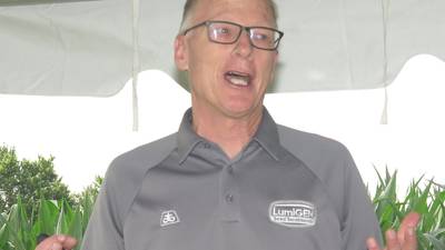 New seed treatment brings boost for early soybeans
