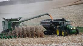 Corn crop makes the grade: High marks for quality in USGC report