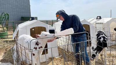 Working on two dairy farms earns National FFA recognition