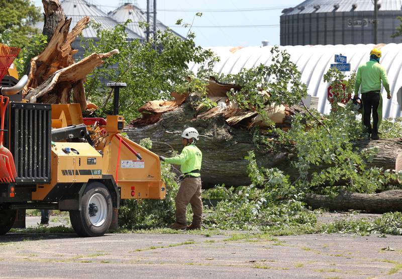 Workers from D. Ryan Tree and Landscape clear a large tree that was blown down in storms July 15 in Sycamore, Illinois.