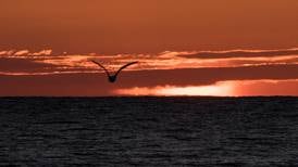 From loss to resilience: Advice for how to manage grief