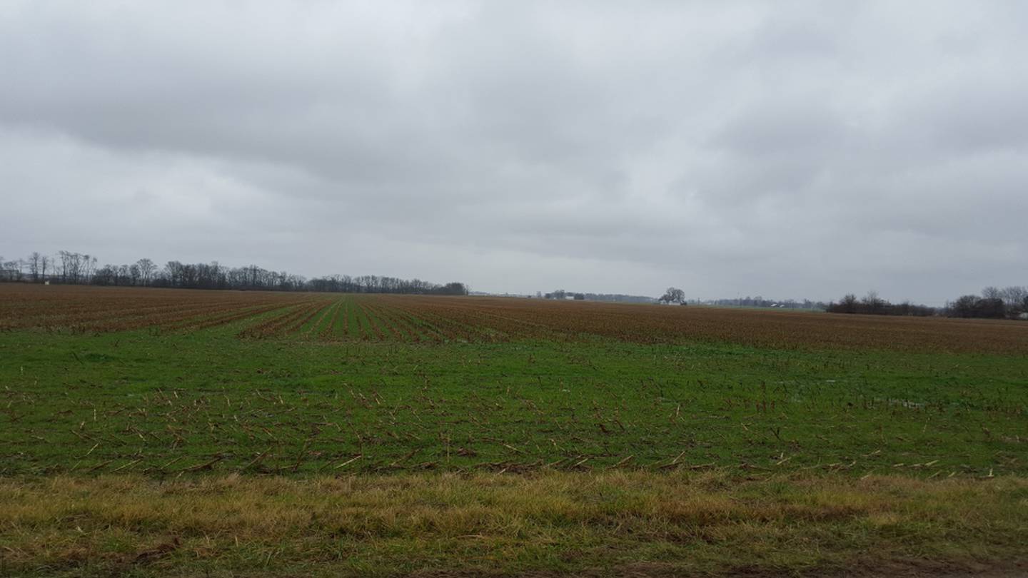 Mike Starkey has seen the environmental and economic benefits of implementing conservation practices on his operation.