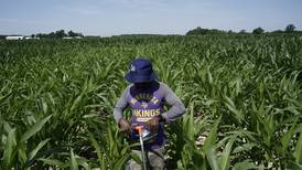 Scientists shielding farming from climate change need more public funding