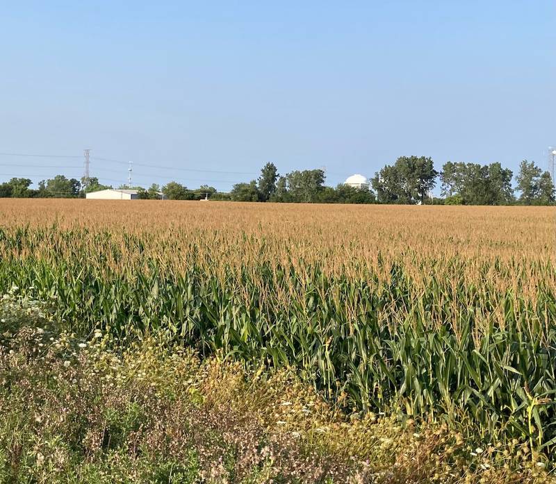Illinois Crop Progress