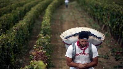 The EU offers new protections for farmers as it seeks to build support for Mercosur trade deal