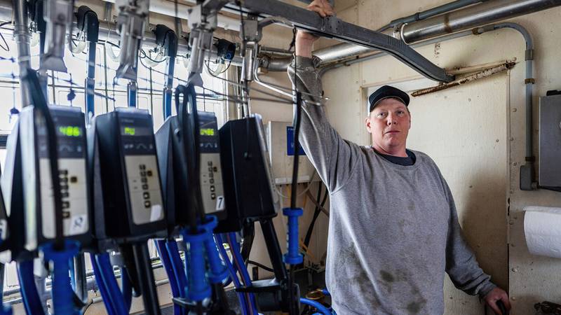 Wisconsin dairy farmer Adam Faust, who is suing the Trump administration alleging discrimination against white farmers like him, poses inside his dairy barn.
