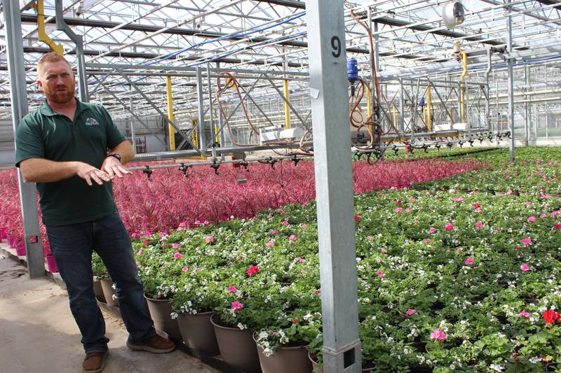 Aaron Bivens talks about the plants growing at Altman Plants near Granville, Illinois. A large variety of plants from the facility are sold wholesale to many companies such as Lowe’s, Costco, Home Depot, Walmart and Trader Joe’s.