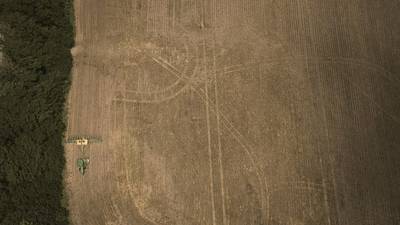 Plant 2025: ‘Tale of two Illinois’