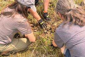 Connecting vets to farms: Nonprofit helps next generation of veterans