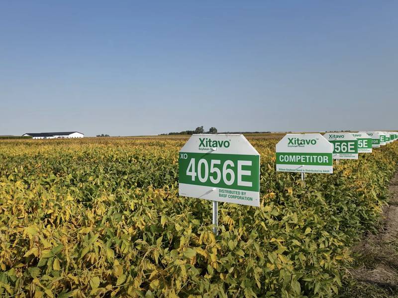 Soybean breeding site in the heart of farm country