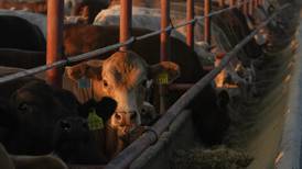 Work continues to keep New World screwworm out of country