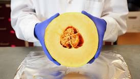 Purdue, FDA lead extensive food safety study