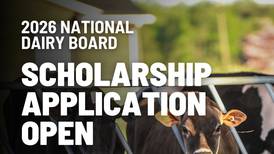 National Dairy Board scholarship applications being accepted