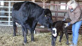 A Year in the Life of a Farmer: Rahn family operates diversified centennial farm