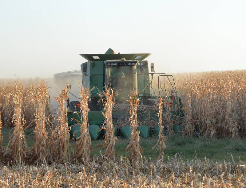 Nick Ludwig was busy picking corn in this field along Townline Road, south of Forreston, on Monday, Oct. 21, 2024. Local grain farmers have been picking crops as dry and warm conditions continue across the region.