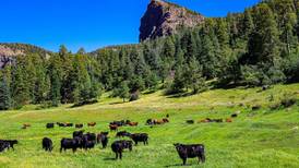 The Zipline: Ranchers on the frontlines caring for public lands