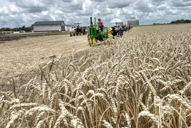The AgriNews AgriMinute podcast: Prioritize fields for harvest