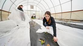 $3.7M project will study high tunnels, create online tool for farmers