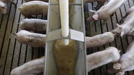 Focus on healthy animals to help prevent disease outbreaks