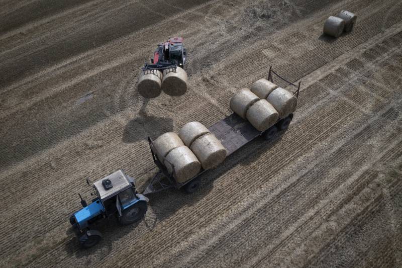 A tractor collects straw in a field on a private farm in August 2023 in Zhurivka, Kyiv region, Ukraine.