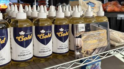 Indiana chefs win titles at World Food Championships