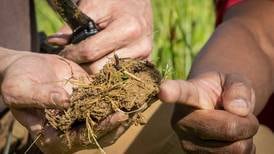 Three agribusinesses receive 4R honors