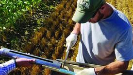 Best farming practices for soil health vary by region