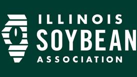 ISA seeks applicants for district elections