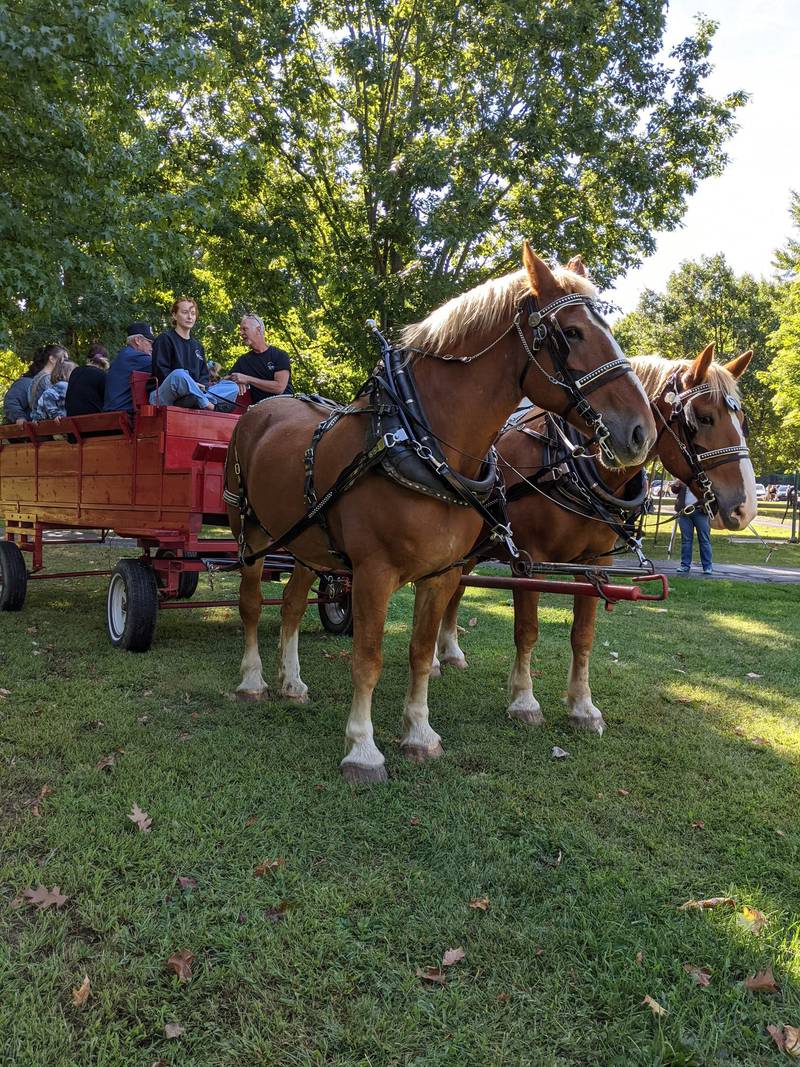Indiana’s oldest county fair will return for its 179th year this summer.
