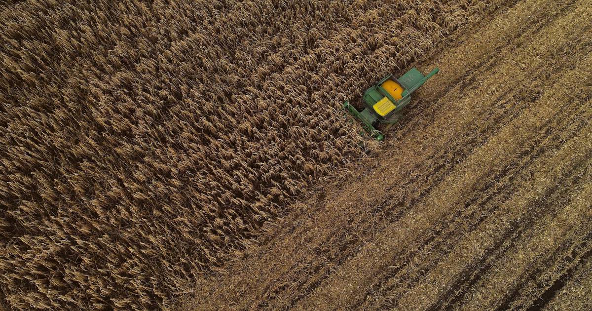 USDA boosts corn harvest from mid-year projection