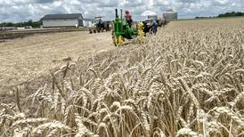 The AgriNews AgriMinute podcast: Prioritize fields for harvest