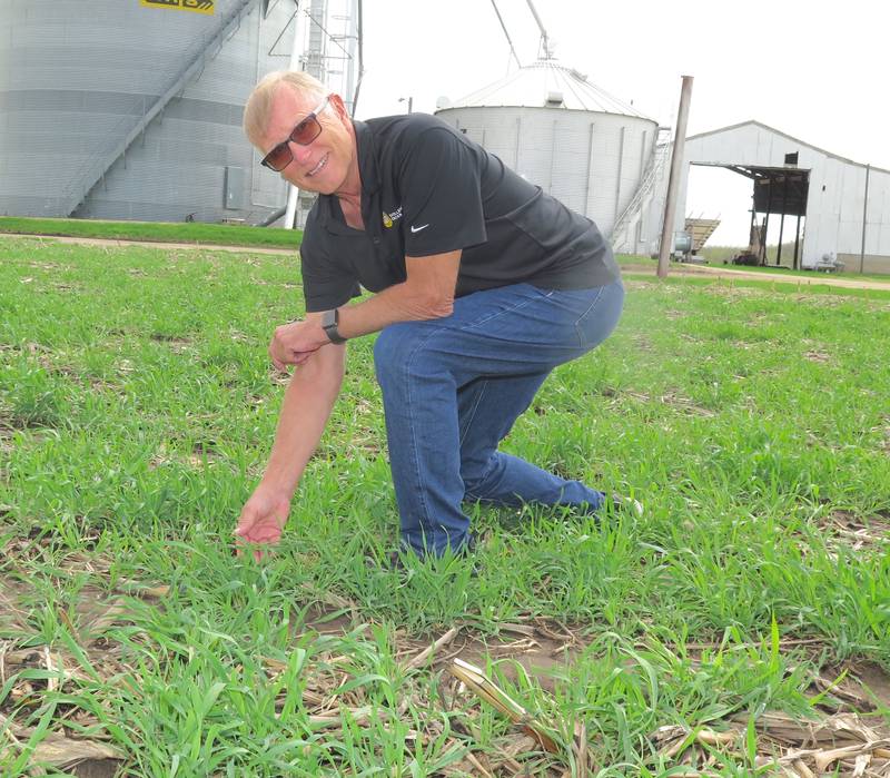 Mark Read checks the progress of his cereal rye cover crop on his farm near Putnam in north-central Illinois. Since retiring from farming, Read has focused more on promoting U.S. soybeans throughout the world.