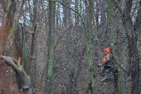 New Indiana hunting regulations in place for deer