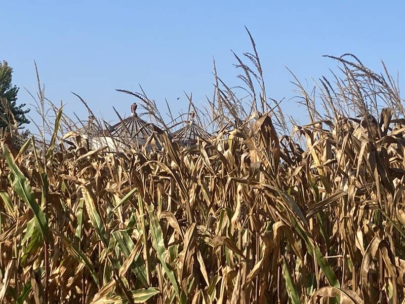 Illinois crop progress for Oct. 3, 2025.