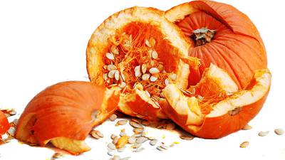 Calendar: Smash your pumpkins for composting