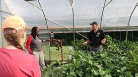 Langenhoven transplants knowledge from Africa into student farmers