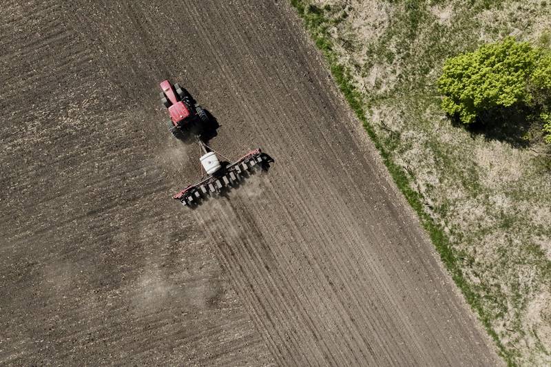 Farmers plan to plant less corn and more soybeans in 2026 than last year, as the Iran war drives up fertilizer and fuel prices in the latest blow to the struggling agricultural sector.