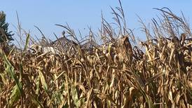 Illinois crop progress for week ending Sept. 28