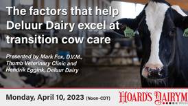 Cow comfort impacts disease prevention during transition phase