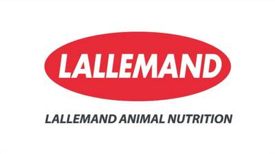 Lallemand Animal Nutrition opens 2026 scholarship program applications