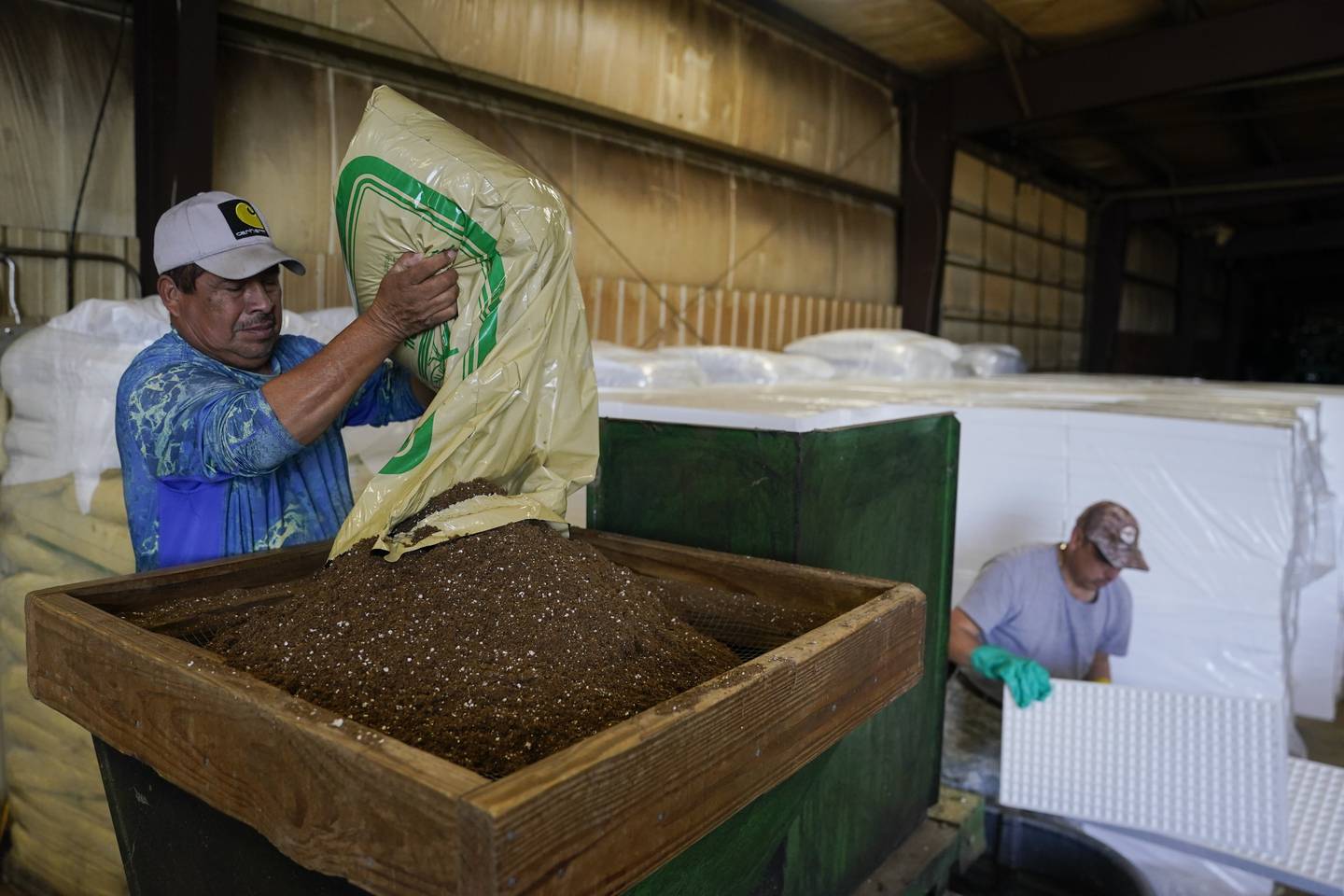 Fernando Osorio Loya (left), a contract worker from Veracruz, Mexico, dumps soil into a seeding machine as Miguel Angel (right), also a contract worker from Veracruz, Mexico, prepares trays for seeds at a farm in Crofton, Kentucky.