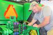 Timely rain as crops emerge