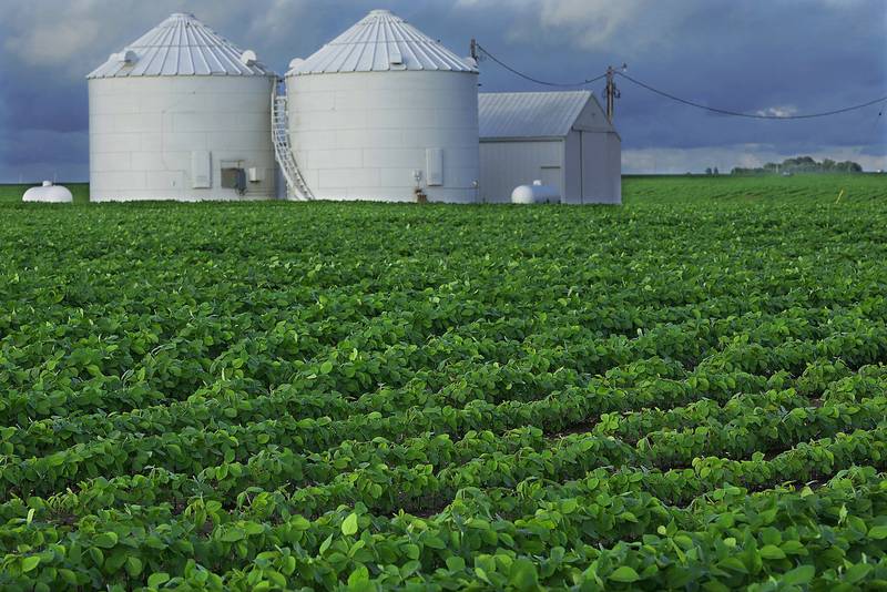Storm clouds form over grain bins on a soybean field near Pleasant Plains, Illinois.