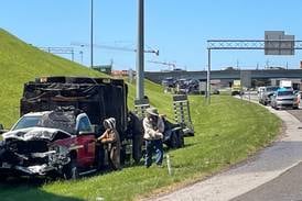 1 million bees make for bumper-to-buzzer traffic on a Tennessee highway ramp