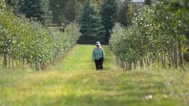 The AgriNews AgriMinute podcast: Can farmers break even this year?